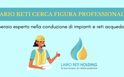 Immagine: lario reti cerca figura professionale