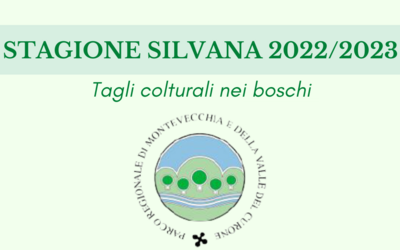 Immagine: Stagione Silvana 20222023